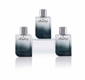 Pack Hombre - 3 Perfumes 100ml a Elección